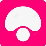 蘑菇视频APP安装与多端同步指南