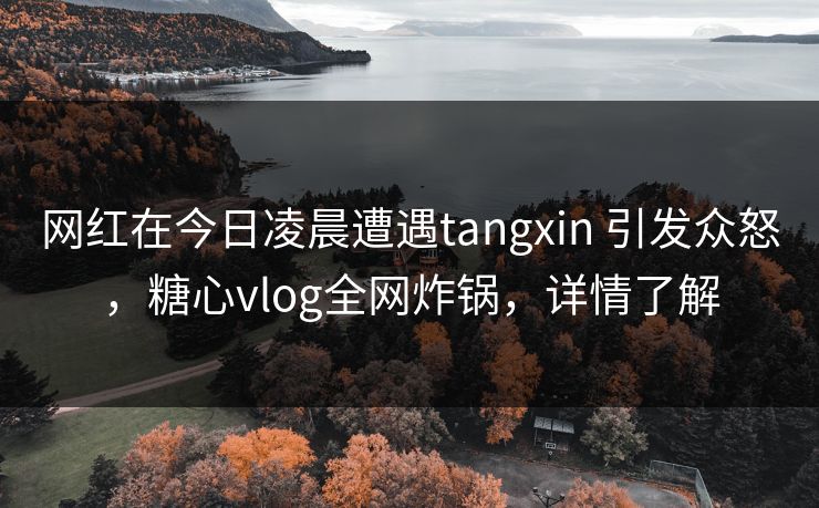 网红在今日凌晨遭遇tangxin 引发众怒,糖心vlog全网炸锅,详情了解 第1张 网红在今日凌晨遭遇tangxin 引发众怒,糖心vlog全网炸锅,详情了解 第1张