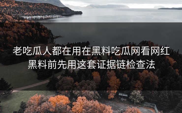 老吃瓜人都在用在黑料吃瓜网看网红黑料前先用这套证据链检查法